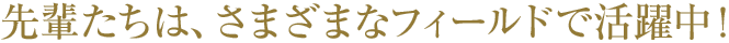 先輩たちは、さまざまなフィールドで活躍中！