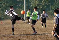 中学サッカー部